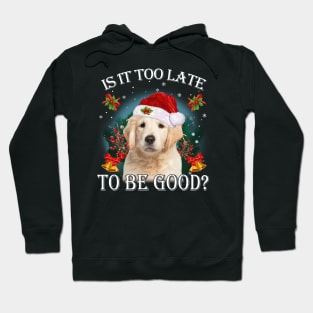 Santa Golden Retriever Christmas Is It Too Late To Be Good Hoodie